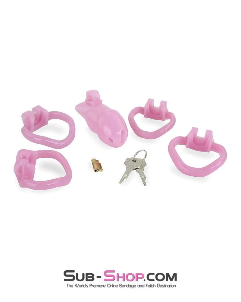 3744AE      <b>BOGO!</b> Little Sissy Bitch Short High Security Keyed Tumbler Locking Male Chastity with 4 Base Cock Ring Sizes