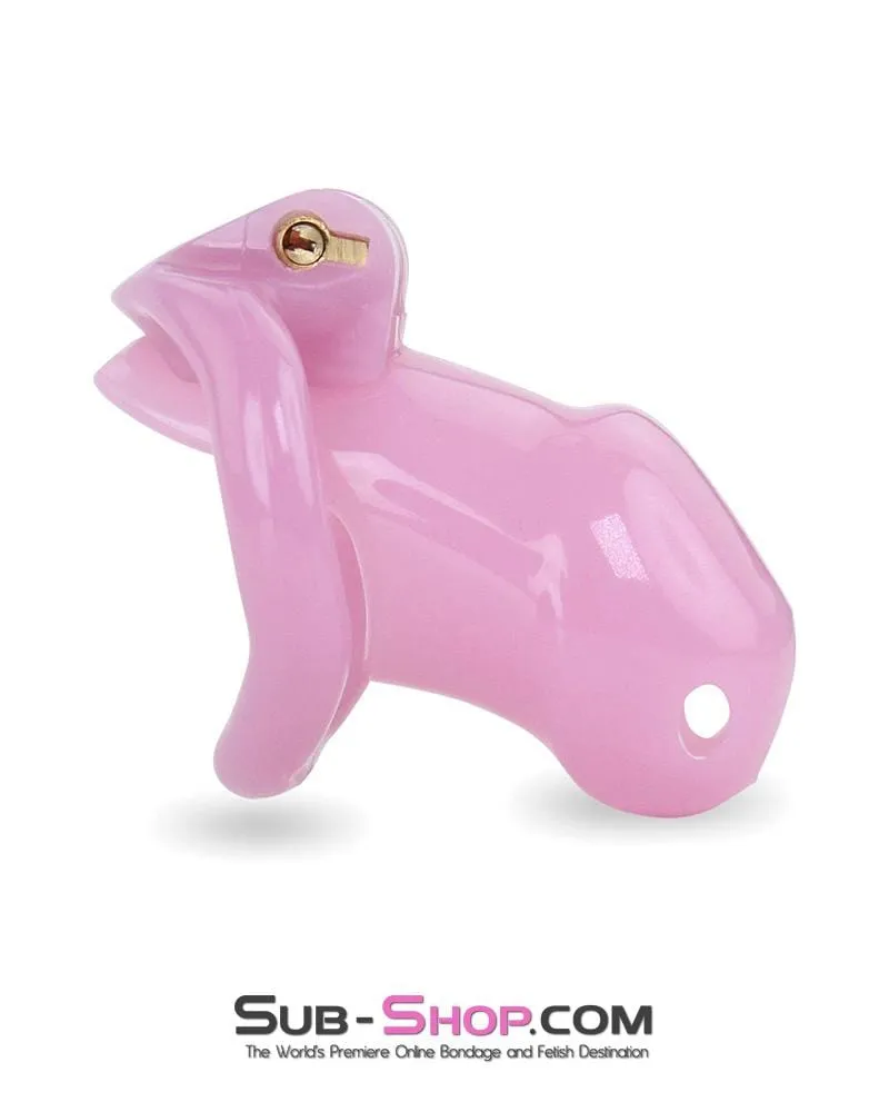 3744AE      <b>BOGO!</b> Little Sissy Bitch Short High Security Keyed Tumbler Locking Male Chastity with 4 Base Cock Ring Sizes