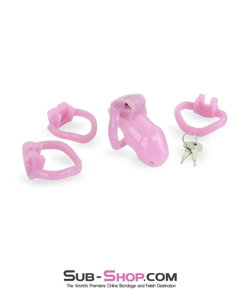 3744AE      <b>BOGO!</b> Little Sissy Bitch Short High Security Keyed Tumbler Locking Male Chastity with 4 Base Cock Ring Sizes