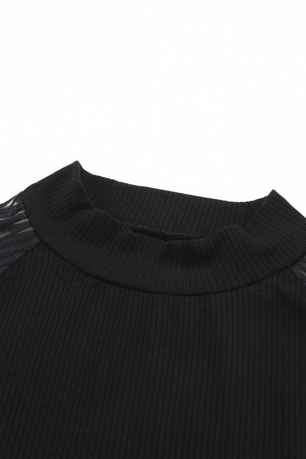 Black Basic Crew Neck Dressy Striped Mesh Long Sleeve Top