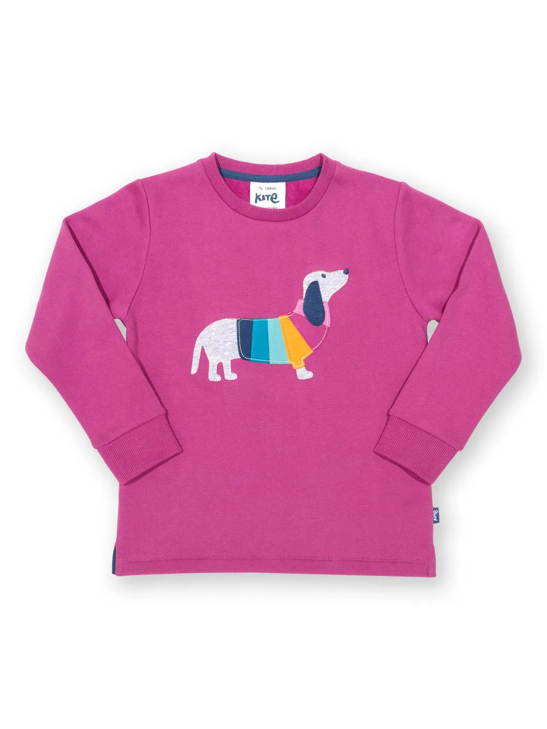 Daxie dog sweatshirt