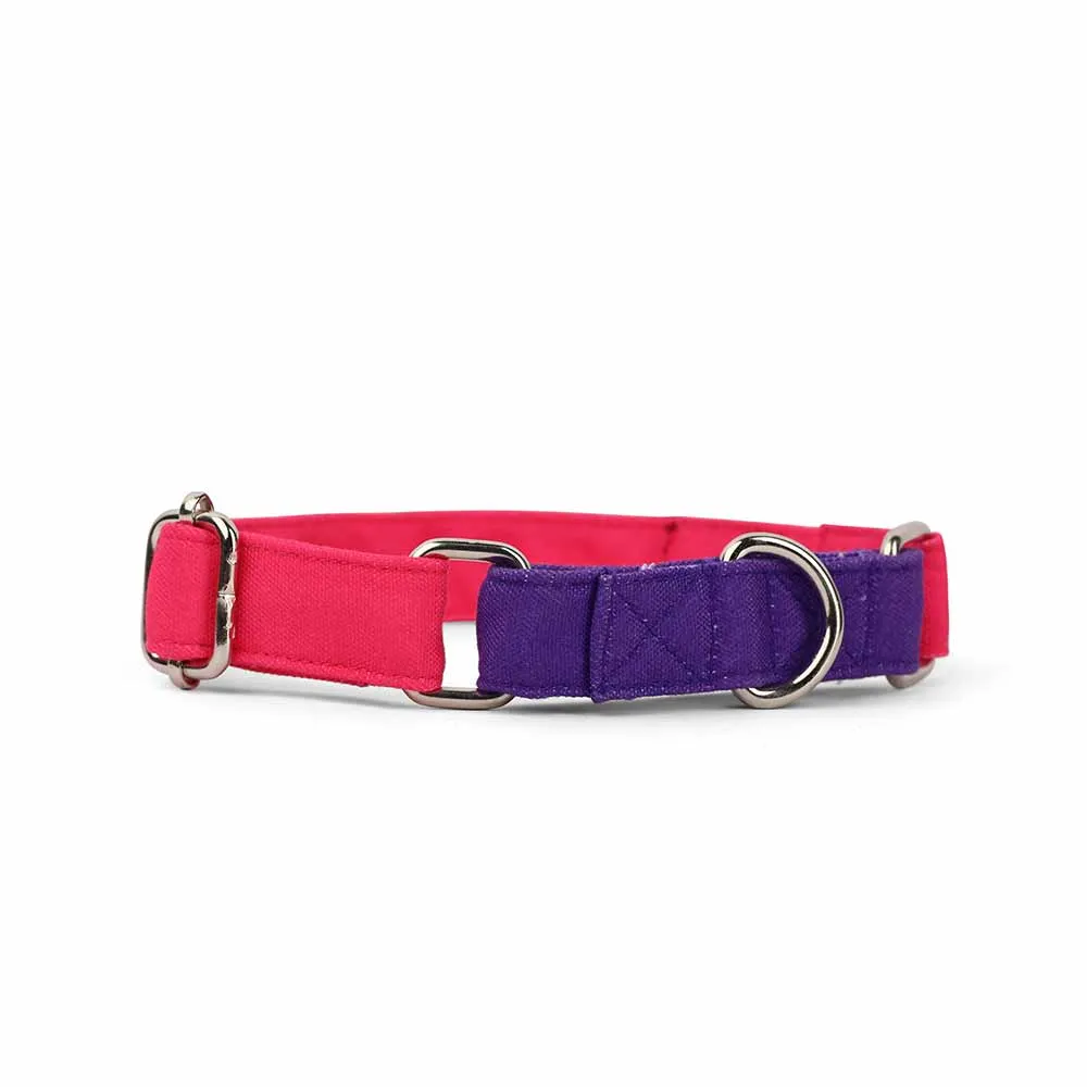 Dear Pet Double Trouble Martingale Pink & Purple Dog Collar