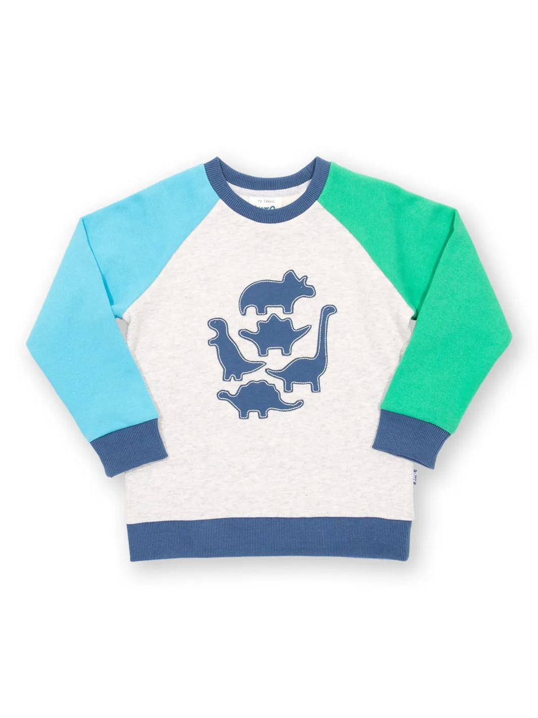 Dino play sweatshirt