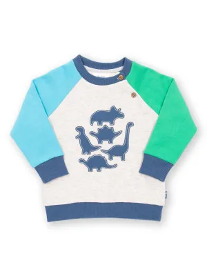 Dino play sweatshirt