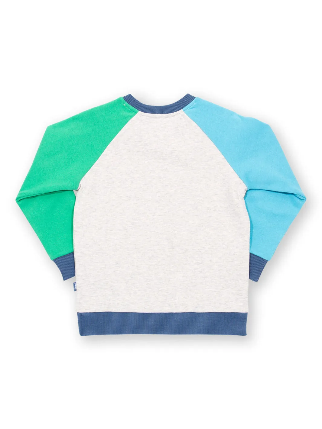 Dino play sweatshirt