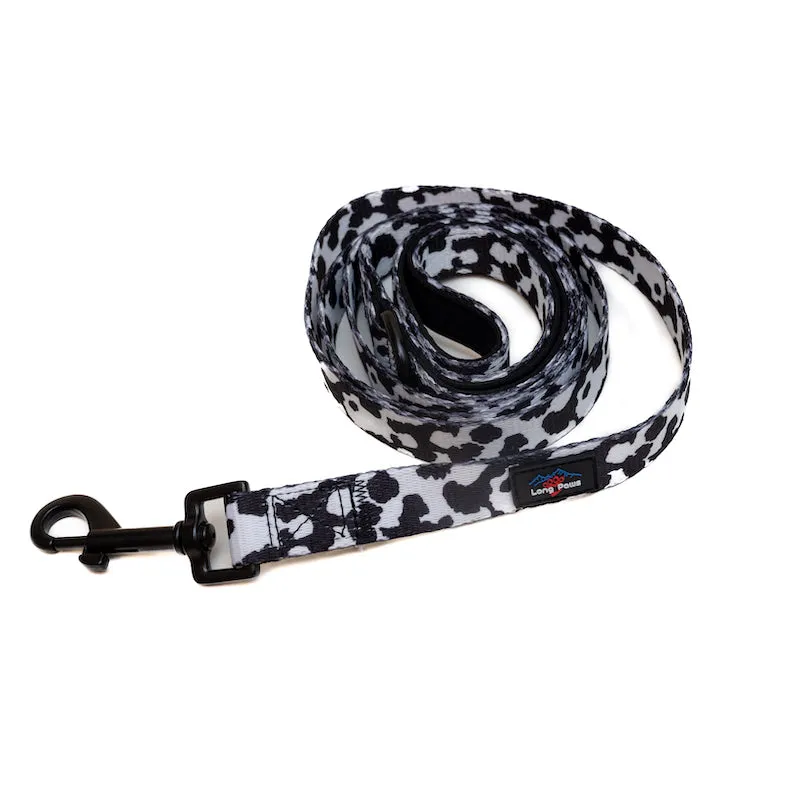 Funk the Dog Harness & Lead Set | Cow Print