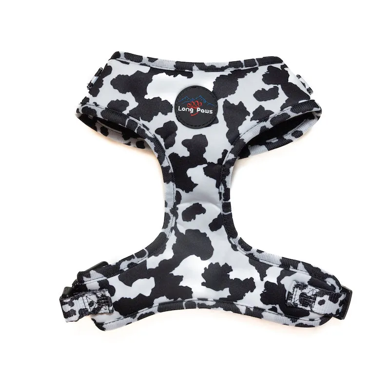 Funk the Dog Harness & Lead Set | Cow Print