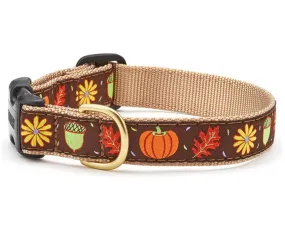 Harvest Time Dog Collar