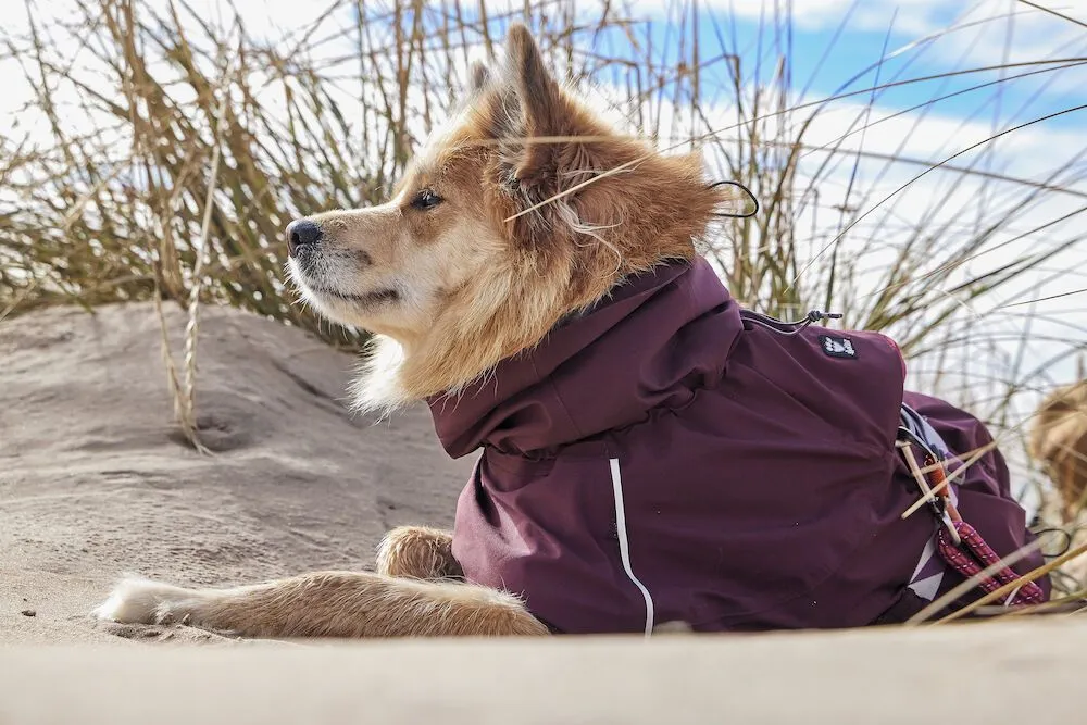 Hurtta Dog Mudventure: Raincoat Eco