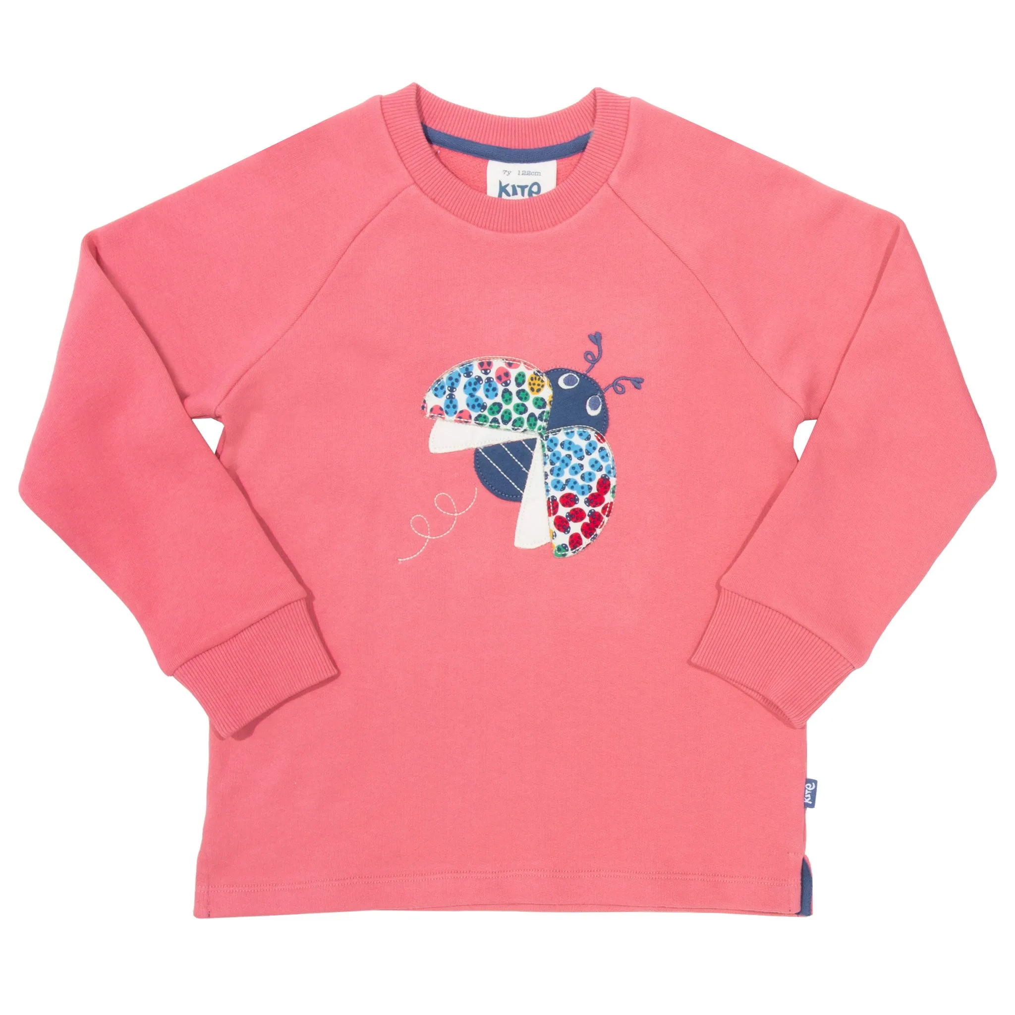 Ladybird sweatshirt