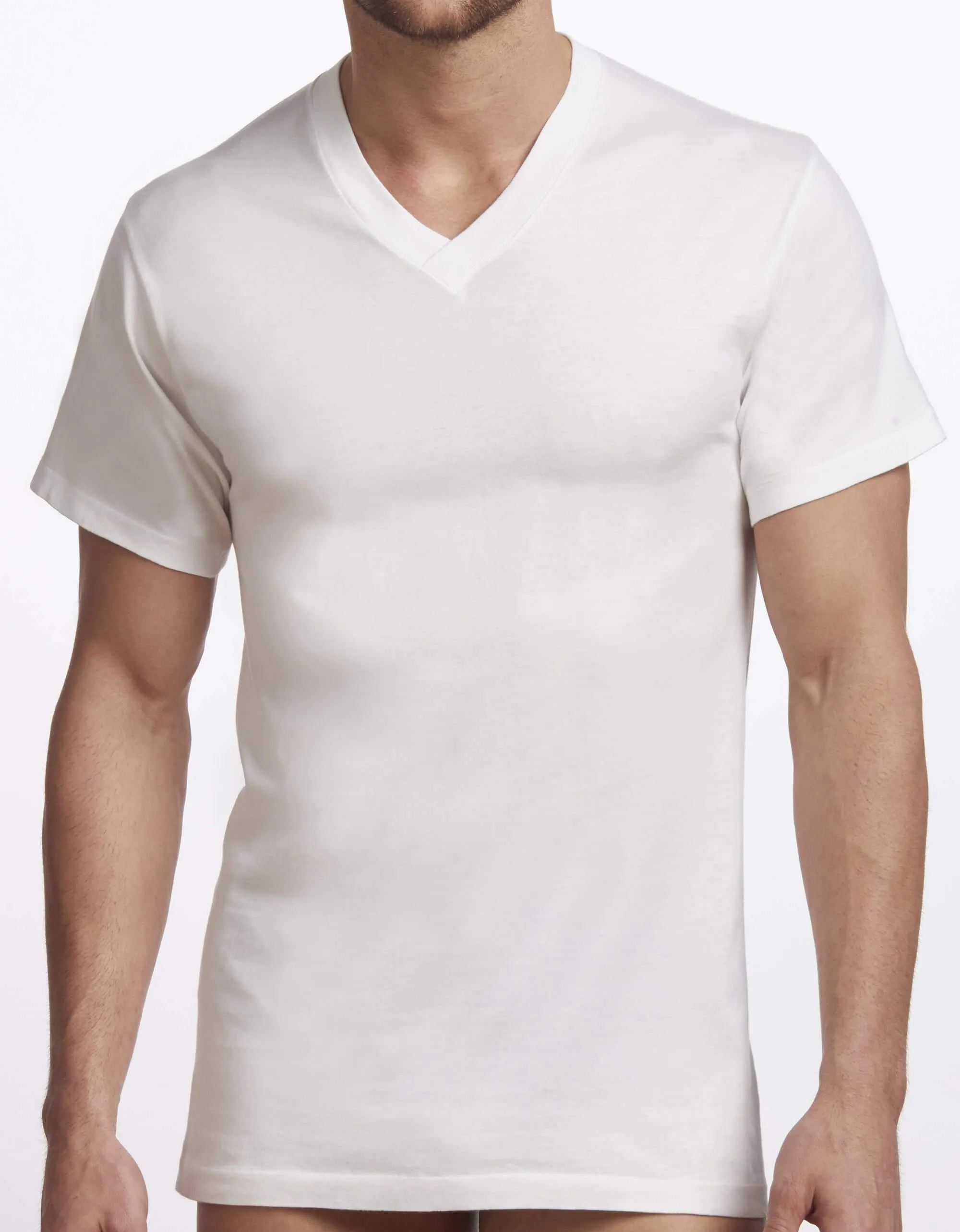 Men's Premium V-Neck T-Shirt - 2 Pack