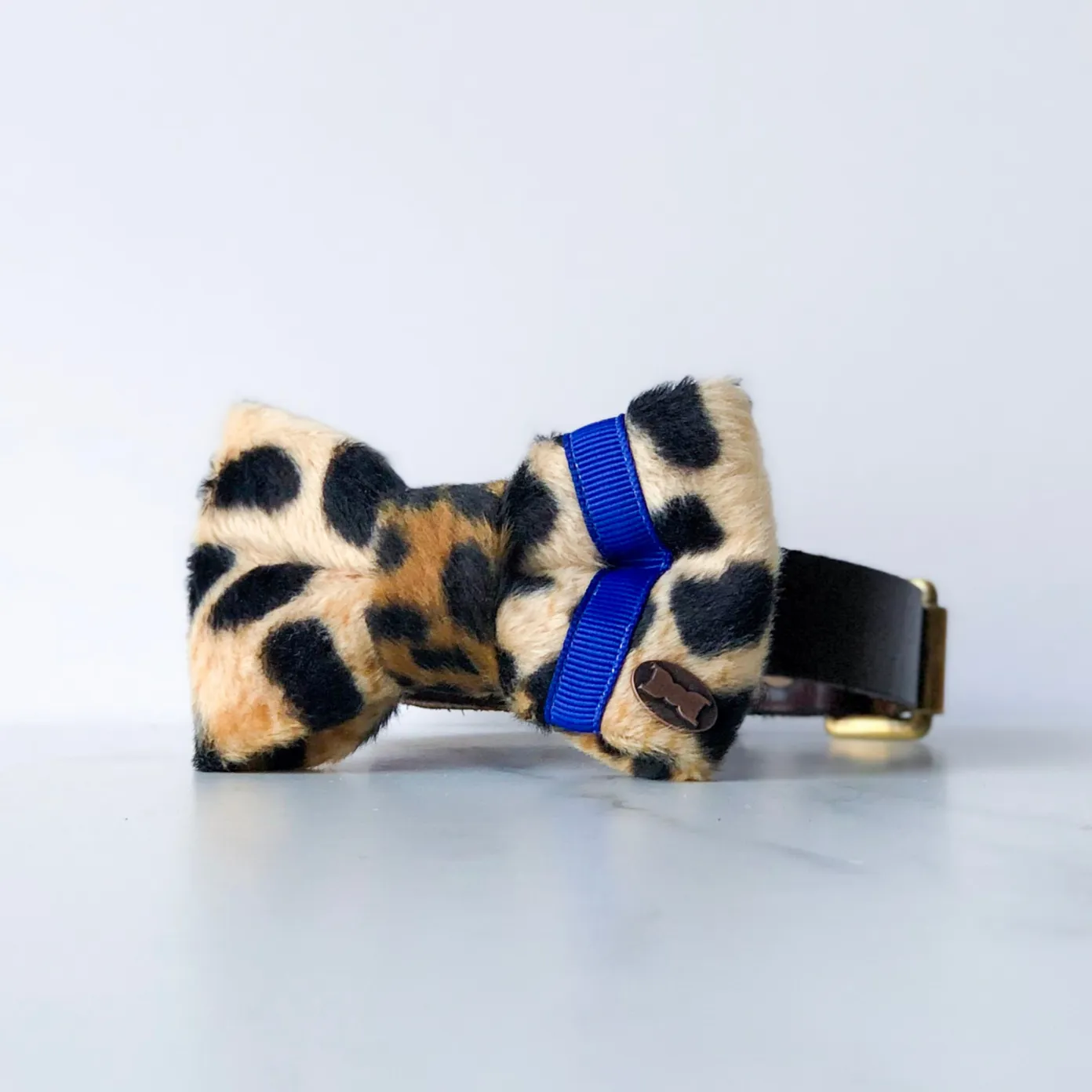 Neon Leopard Dog Bow Tie | Blue