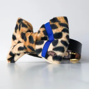 Neon Leopard Dog Bow Tie | Blue