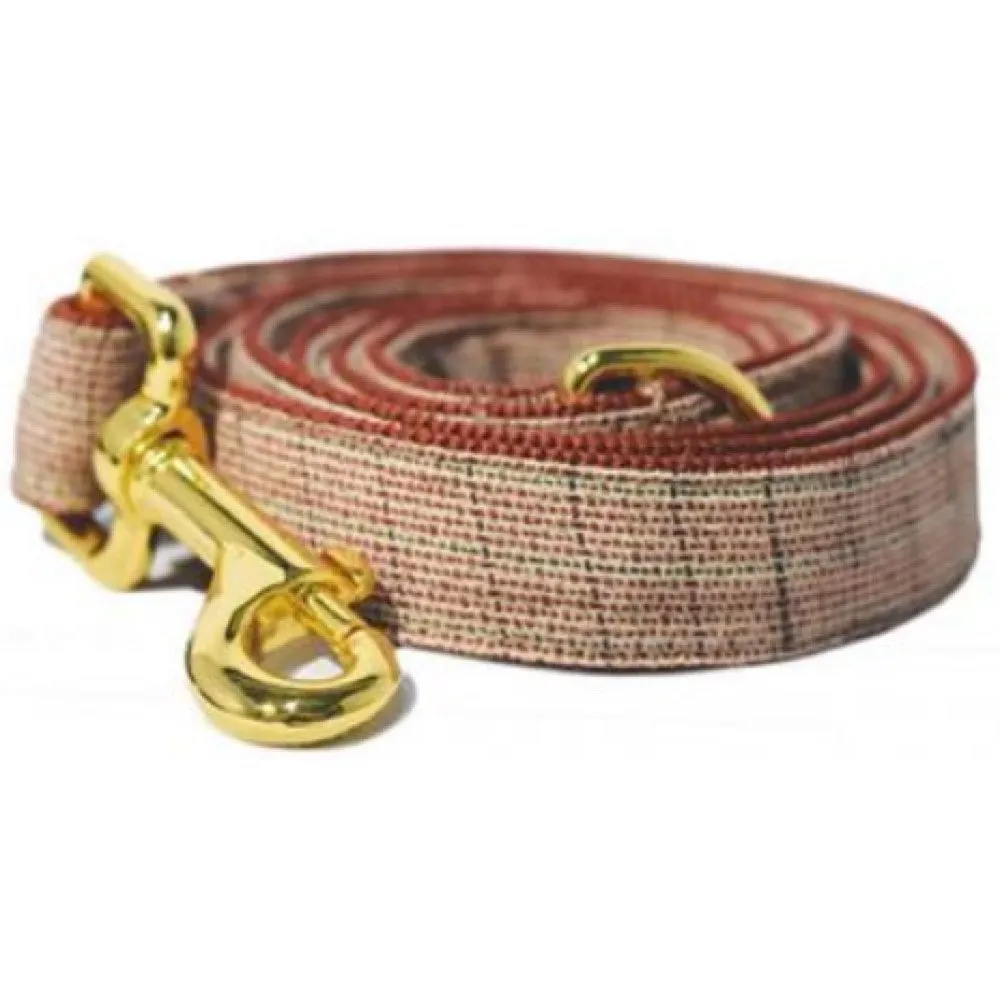 Pattefrenz Pitaya Gold Collar & Leash Set (Medium)