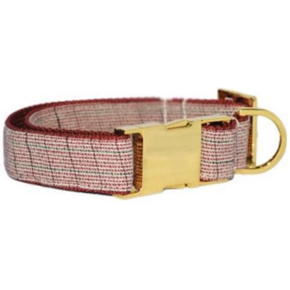 Pattefrenz Pitaya Gold Collar & Leash Set (Medium)