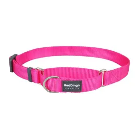 Red Dingo Dog Martingale Collar Hot Pink (20mm x 32-47cm)